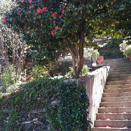 Dom wakacyjny Marias Cozy House Agios Ioannis (Thessaly)